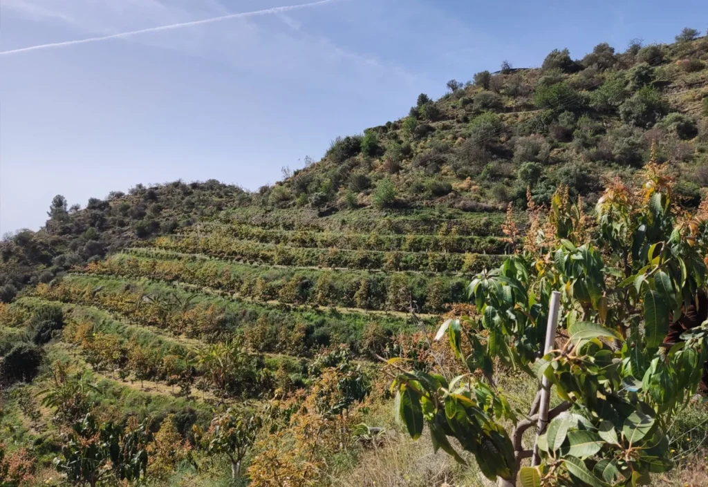 Bezoek aan La Herradura Coffee & Fruit Farm