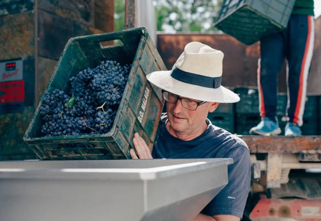 Wijnbeleving bij Bodegas Bentomiz